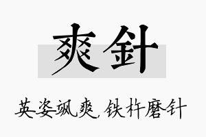 爽针名字的寓意及含义