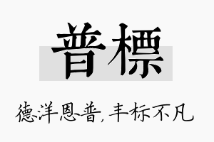 普标名字的寓意及含义