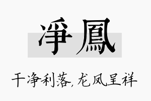 净凤名字的寓意及含义