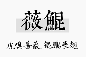 薇鲲名字的寓意及含义