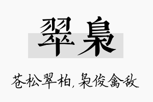 翠枭名字的寓意及含义