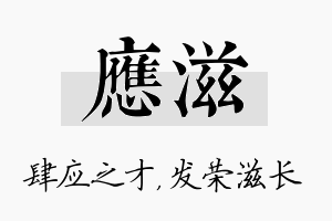 应滋名字的寓意及含义