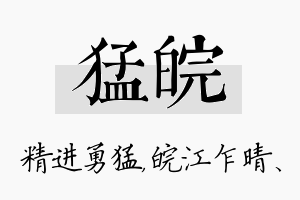 猛皖名字的寓意及含义