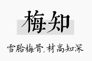 梅知名字的寓意及含义