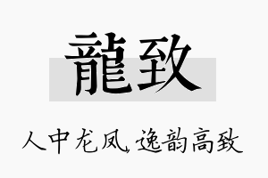 龙致名字的寓意及含义