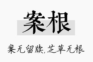 案根名字的寓意及含义