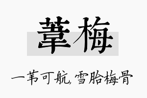 苇梅名字的寓意及含义