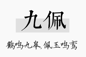 九佩名字的寓意及含义