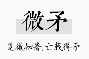 微矛名字的寓意及含义