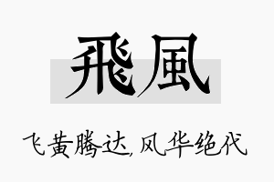 飞风名字的寓意及含义