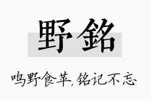 野铭名字的寓意及含义