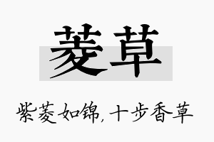 菱草名字的寓意及含义