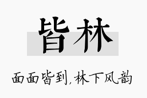 皆林名字的寓意及含义