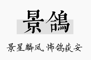 景鸽名字的寓意及含义