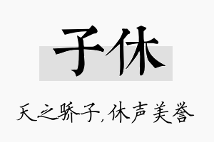 子休名字的寓意及含义