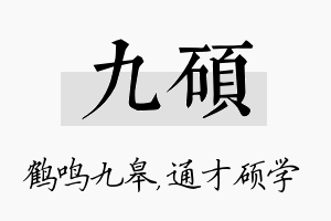 九硕名字的寓意及含义