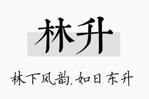 林升名字的寓意及含义