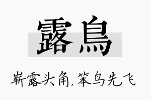 露鸟名字的寓意及含义