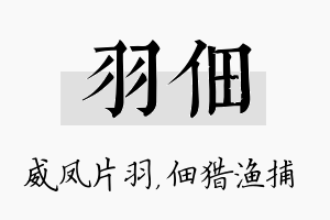 羽佃名字的寓意及含义