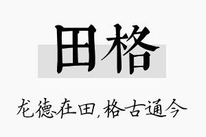 田格名字的寓意及含义