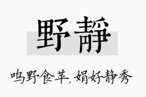 野静名字的寓意及含义