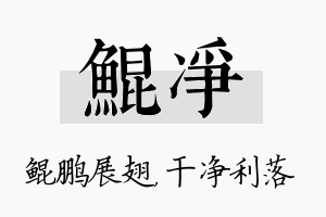 鲲净名字的寓意及含义