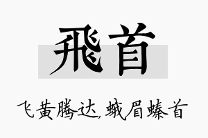 飞首名字的寓意及含义