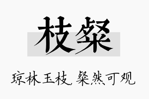 枝粲名字的寓意及含义