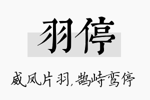 羽停名字的寓意及含义