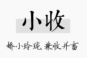 小收名字的寓意及含义