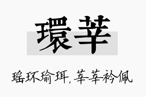 环莘名字的寓意及含义