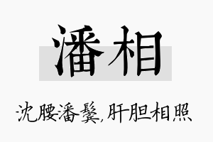 潘相名字的寓意及含义