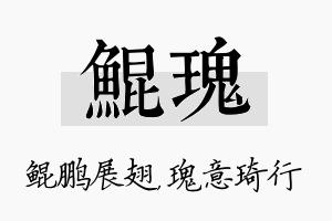 鲲瑰名字的寓意及含义