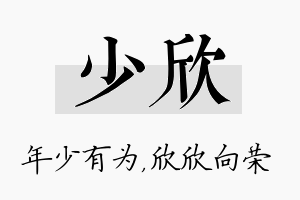 少欣名字的寓意及含义