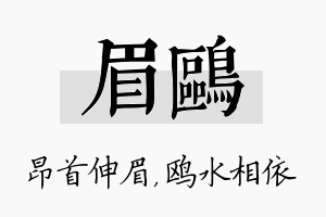 眉鸥名字的寓意及含义