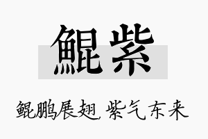 鲲紫名字的寓意及含义