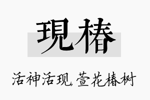 现椿名字的寓意及含义