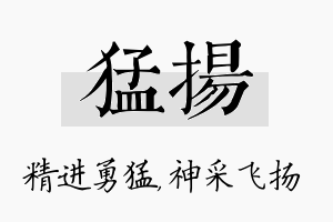 猛扬名字的寓意及含义