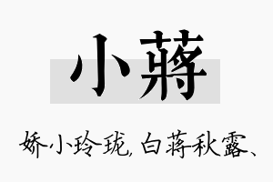 小蒋名字的寓意及含义