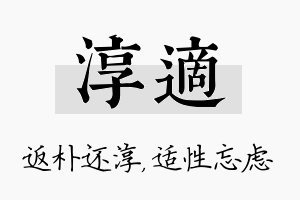 淳适名字的寓意及含义