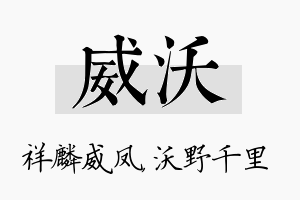 威沃名字的寓意及含义