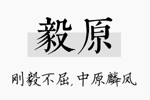 毅原名字的寓意及含义