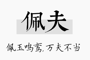 佩夫名字的寓意及含义