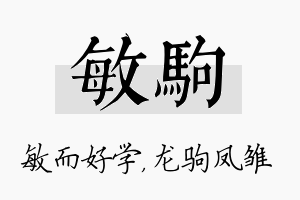 敏驹名字的寓意及含义