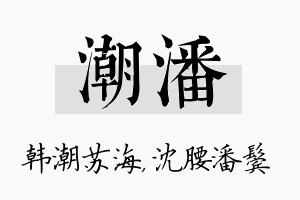 潮潘名字的寓意及含义