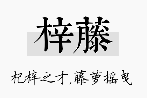 梓藤名字的寓意及含义