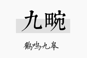 九畹名字的寓意及含义