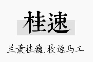 桂速名字的寓意及含义