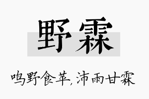 野霖名字的寓意及含义