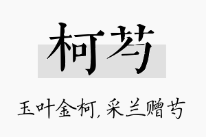 柯芍名字的寓意及含义